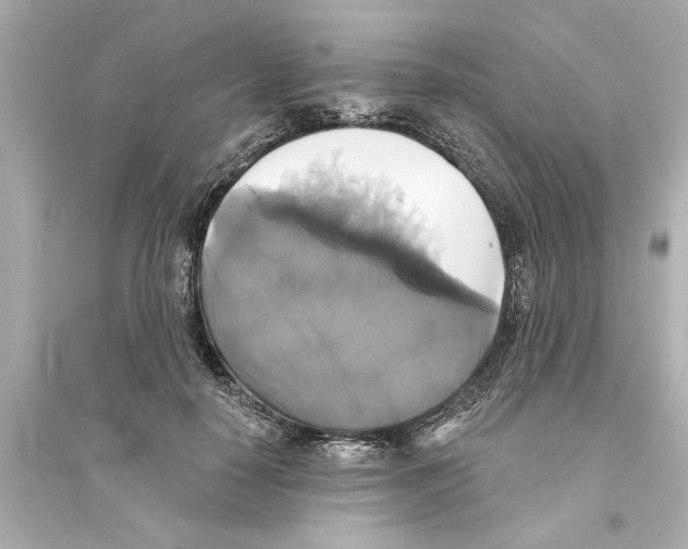 X0000093580650200711121102