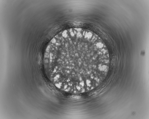 X0000093580651200711121102