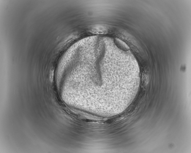 X0000093580652200711121102