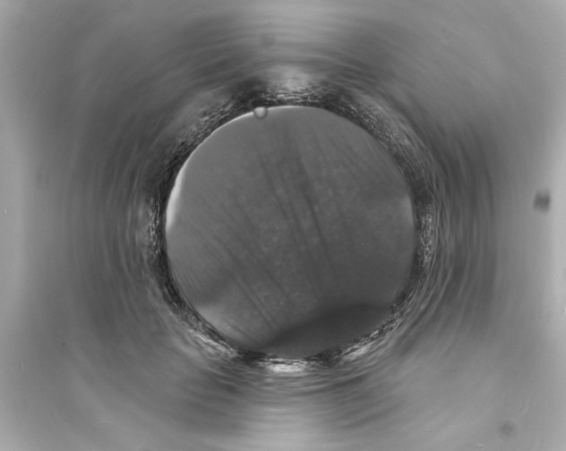 X0000093580653200711121102