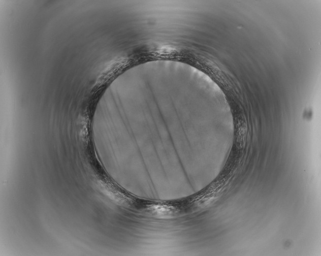 X0000093580654200711121102