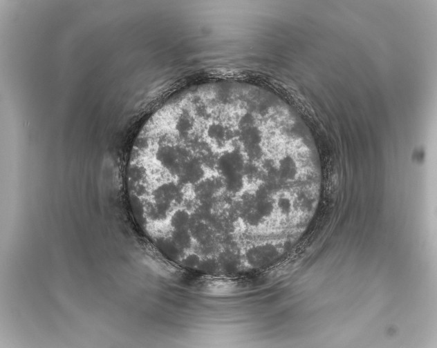 X0000093580658200711121102