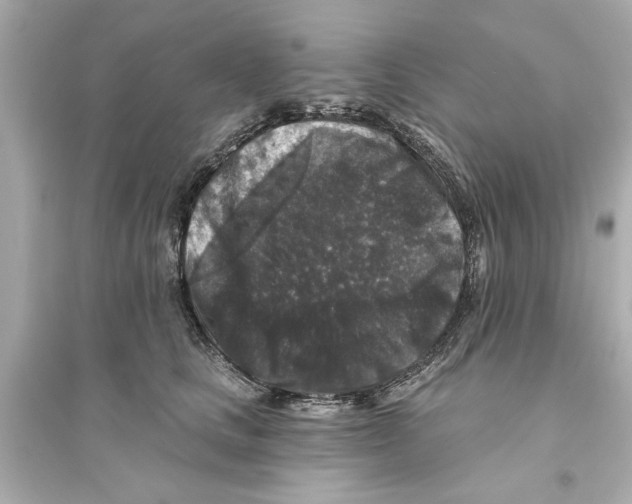 X0000093580661200711121102