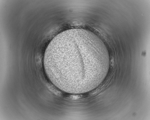 X0000093580662200711121102