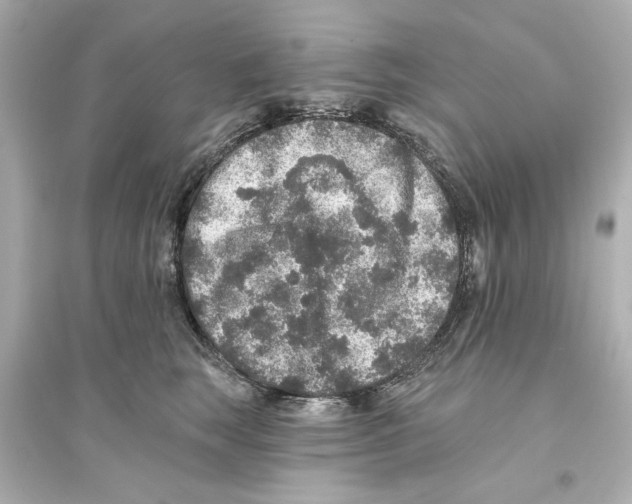 X0000093580663200711121102