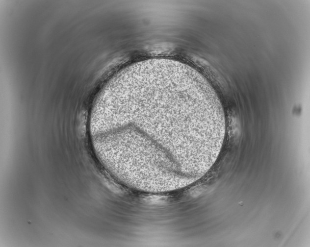 X0000093580664200711121102