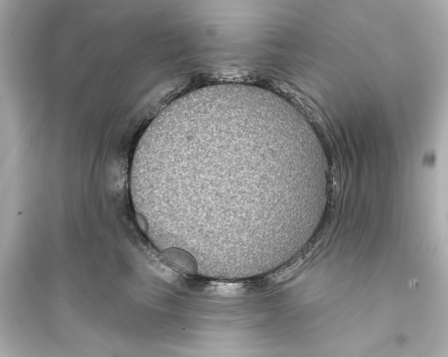 X0000093580665200711121102