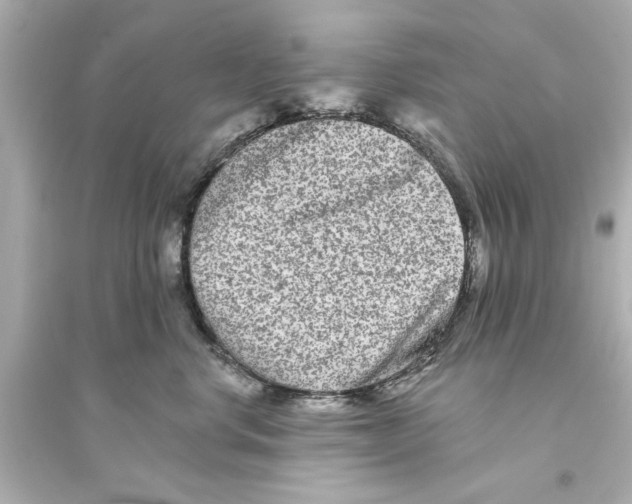 X0000093580668200711121102