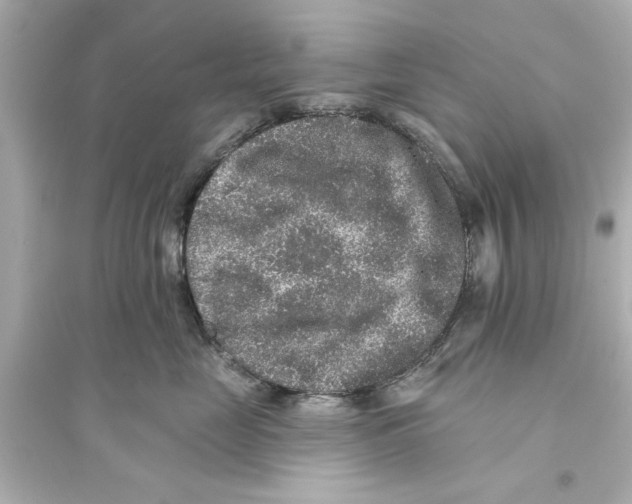 X0000093580669200711121102