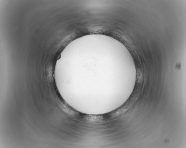 X0000093580670200711121102