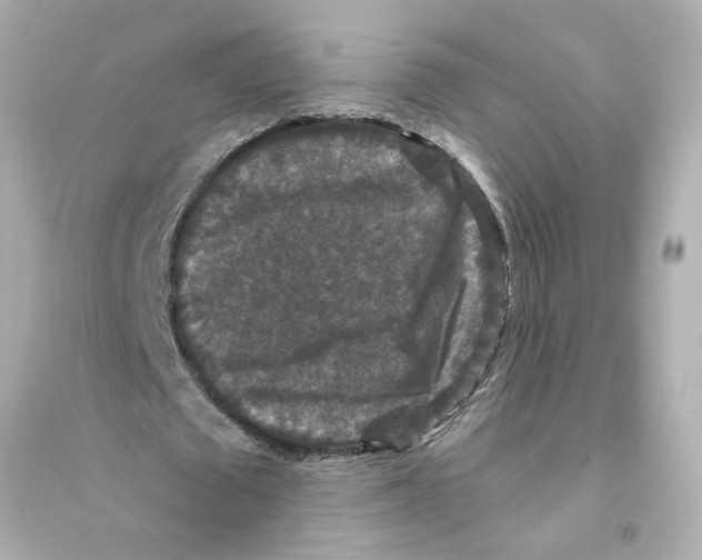 X0000093580673200711121101