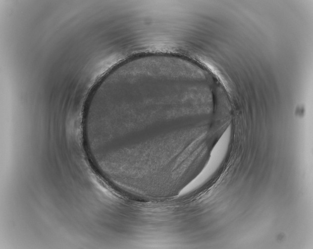 X0000093580677200711121101