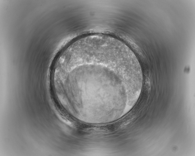 X0000093580678200711121101