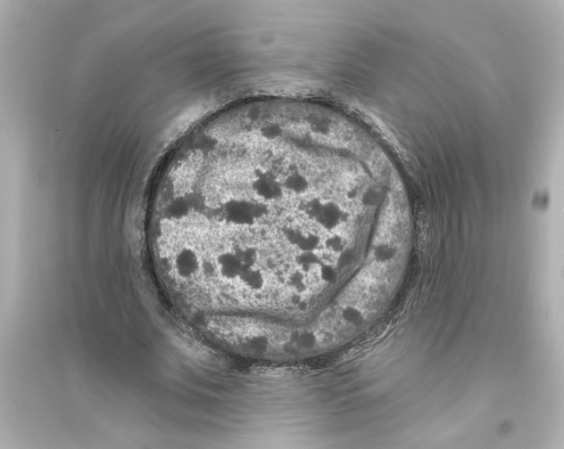 X0000093580679200711121101