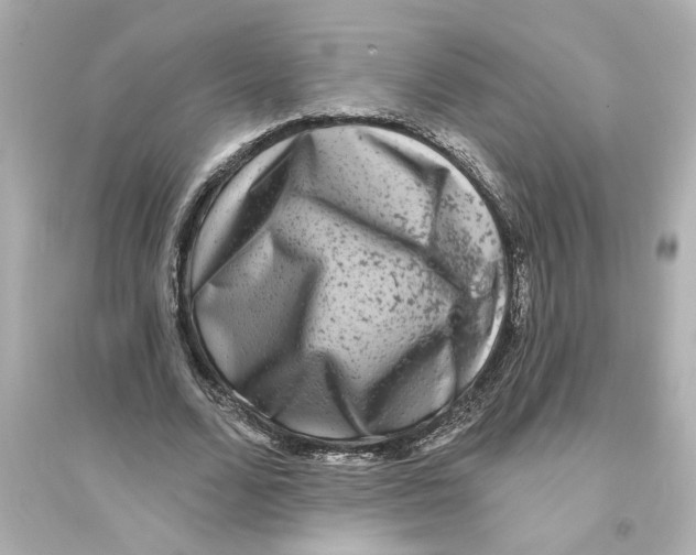 X0000093580680200711121101