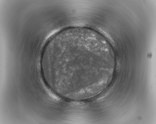 X0000093580681200711121101