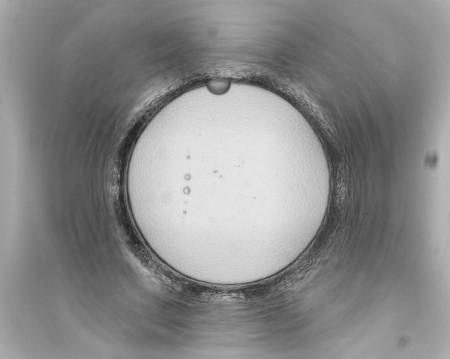 X0000093580683200711121101