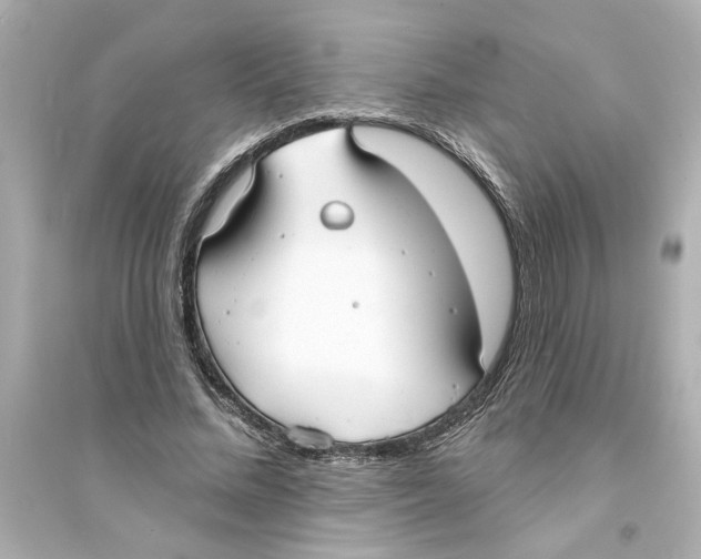 X0000093580684200711121101