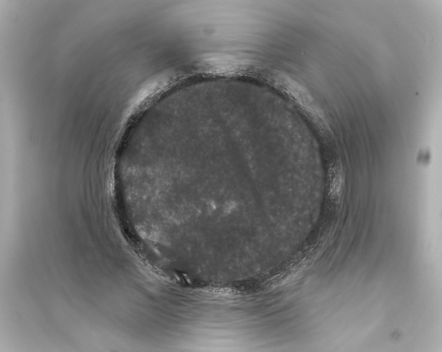 X0000093580685200711121101