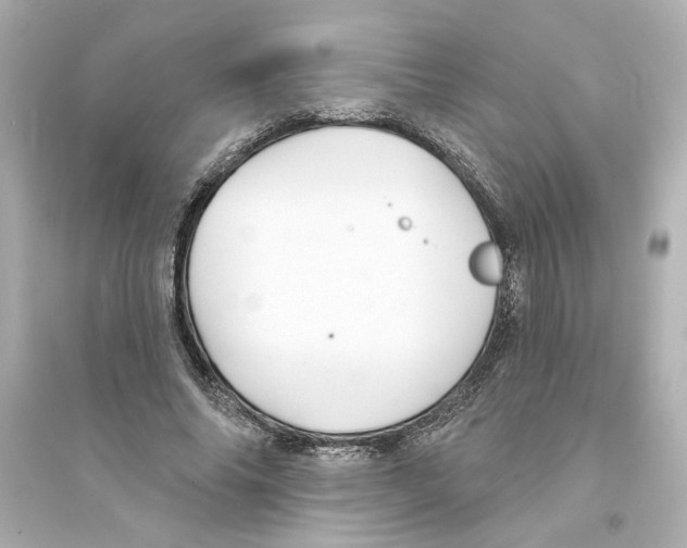 X0000093580686200711121101