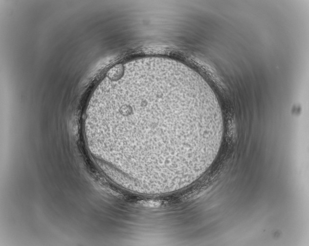 X0000093580687200711121101