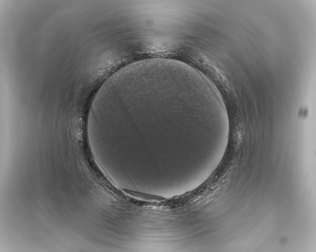 X0000093580689200711121101