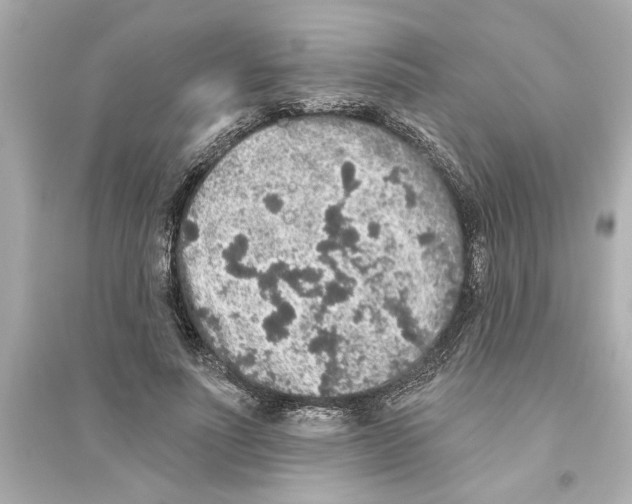 X0000093580691200711121101