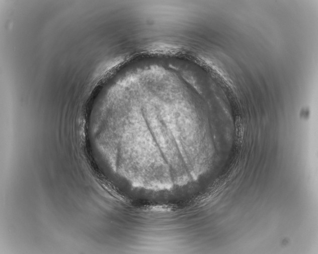 X0000093580692200711121101