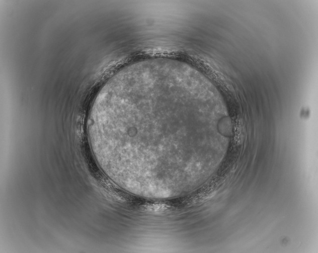 X0000093580695200711121101