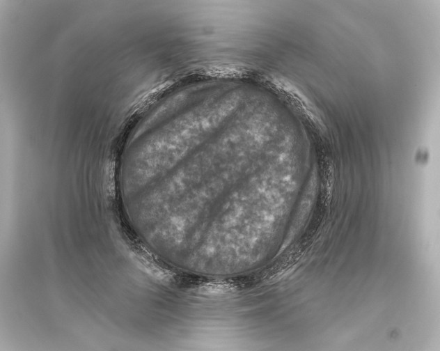 X0000093580696200711121101