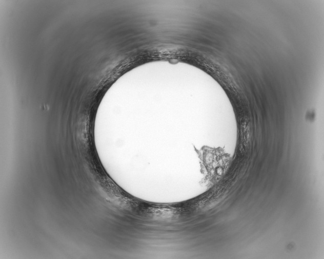 X0000093580698200711121101