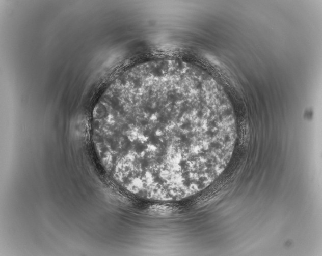 X0000093580699200711121101