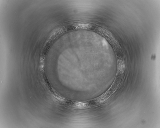 X0000093580701200711121101