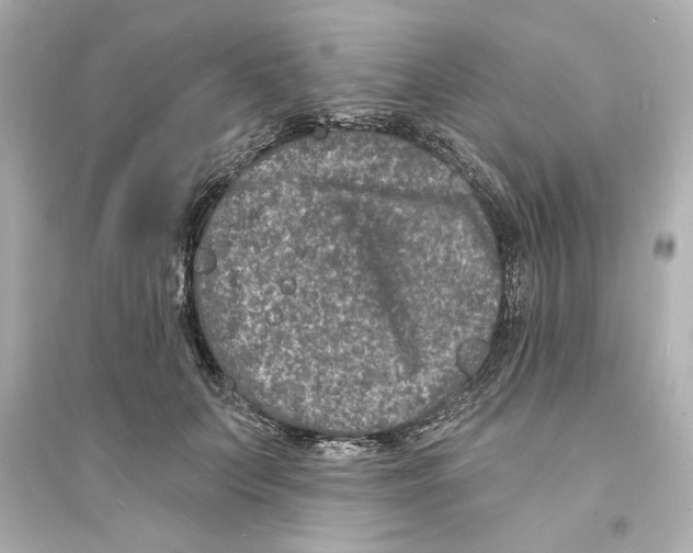 X0000093580703200711121101