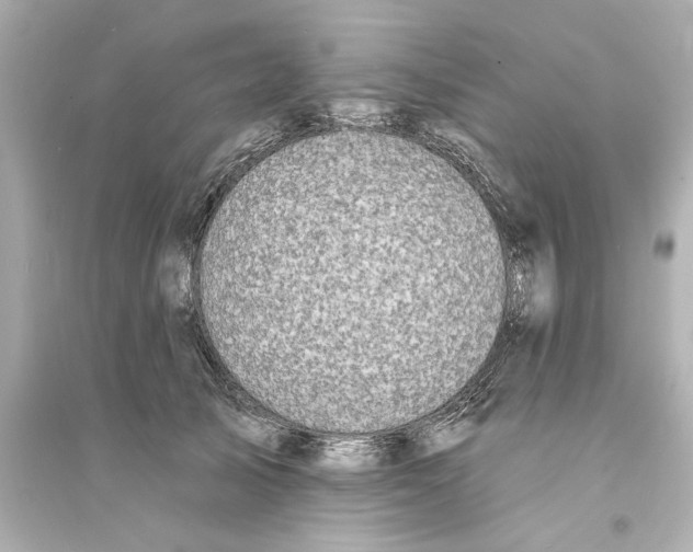 X0000093580705200711121101