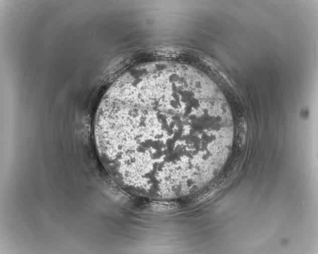 X0000093580707200711121101