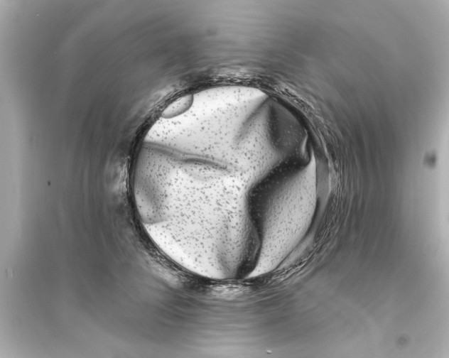 X0000093580708200711121101