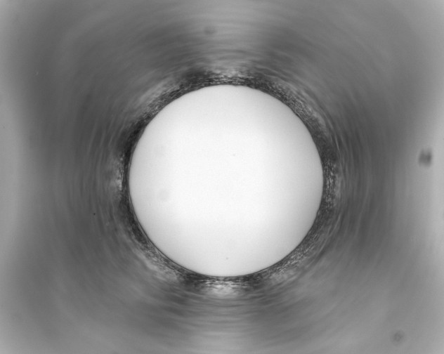 X0000093580710200711121101