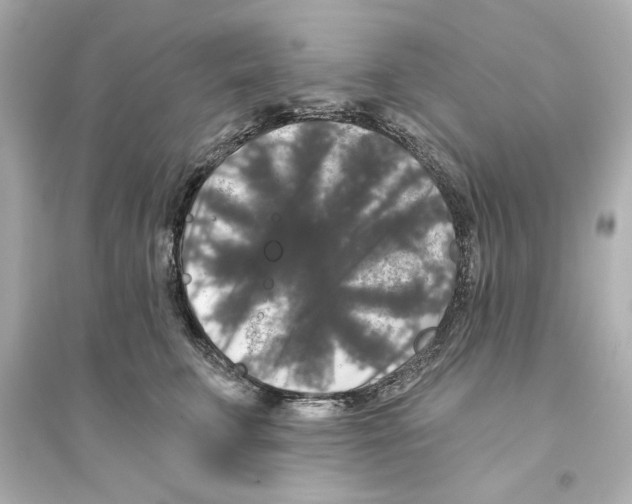 X0000093580711200711121101