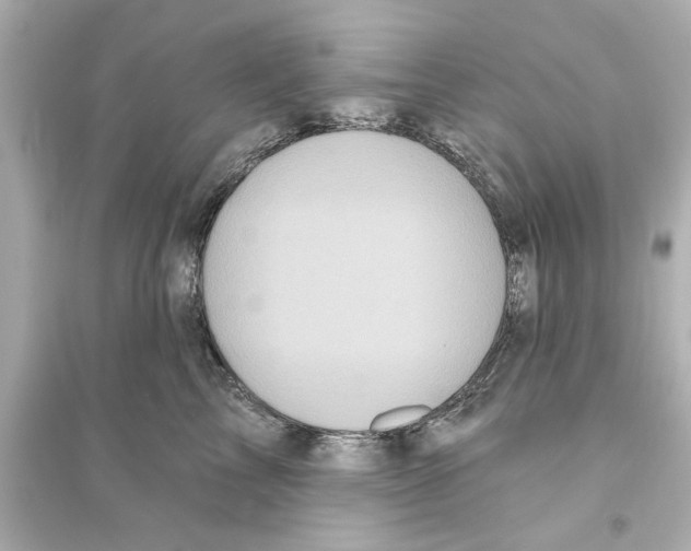 X0000093580713200711121101