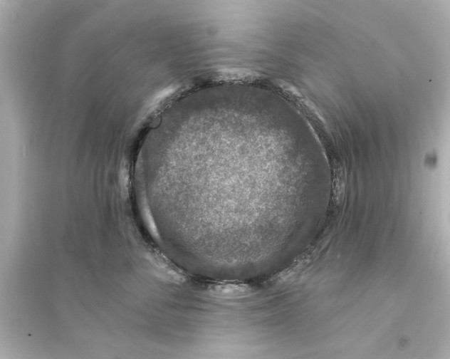 X0000093580716200711121101