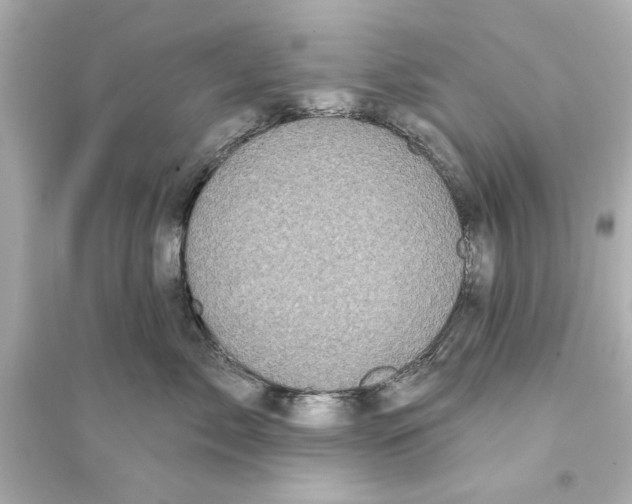 X0000093580717200711121101