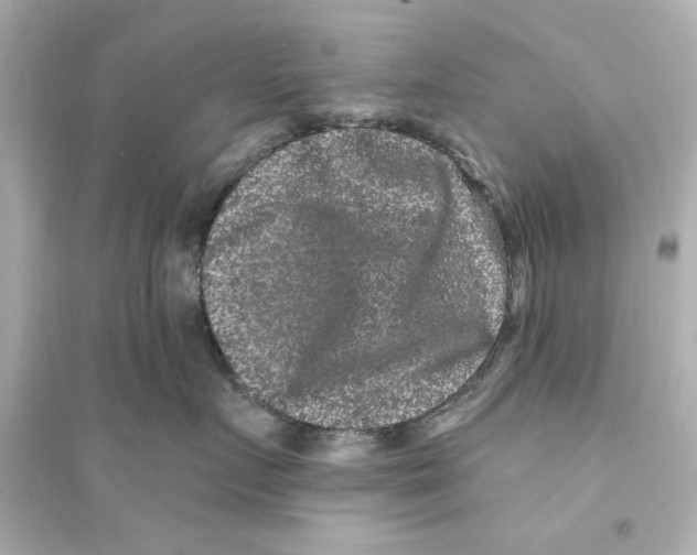 X0000093580719200711121101