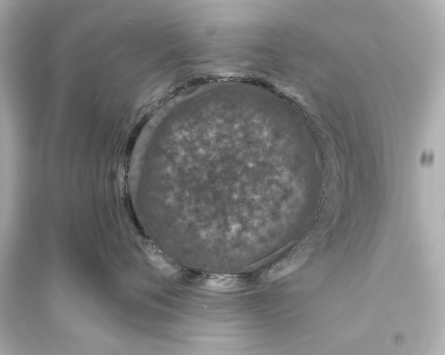 X0000093580720200711121101