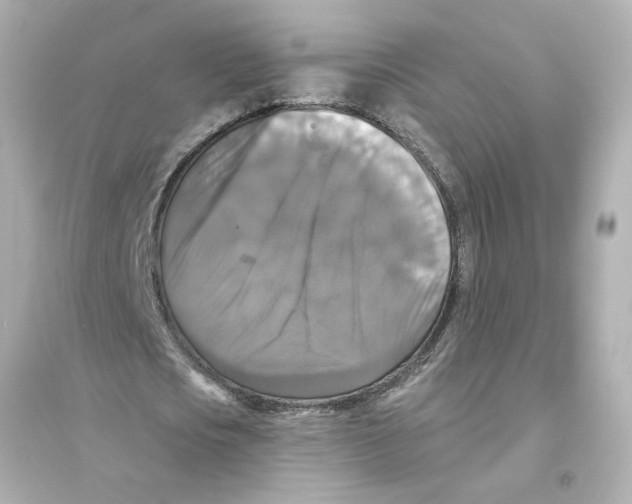 X0000093580721200711121100