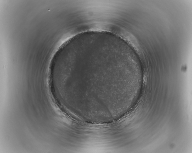 X0000093580724200711121100