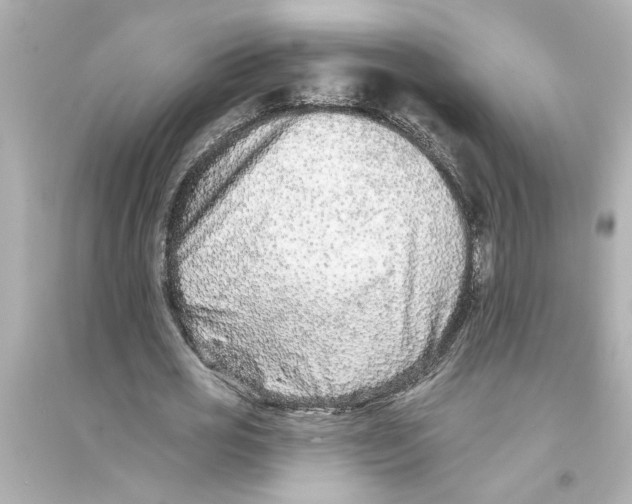 X0000093580725200711121100