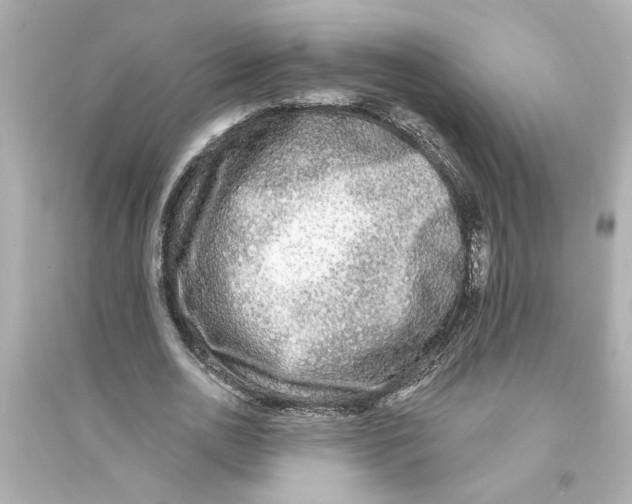 X0000093580726200711121100