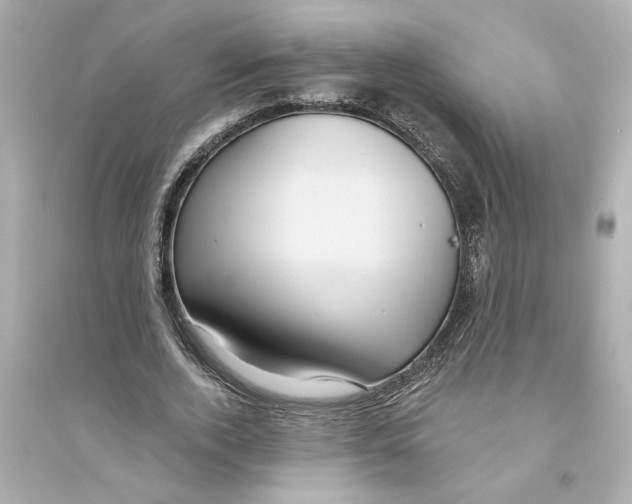 X0000093580728200711121100