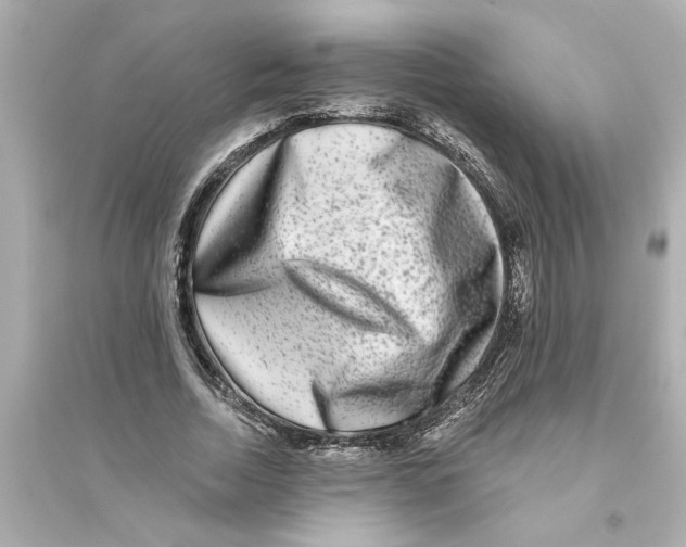 X0000093580730200711121100